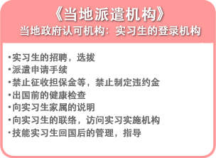 《当地派遣机构 当地政府认可机构：实习生的登录机构 •实习生的招聘，选拔 •派遣申请手续 •禁止征收担保金等，禁止制定违约金 •出国前的健康检查 •向实习生家属的说明 •向实习生的联络，访问实习实施机构 •技能实习生回国后的管理，指导