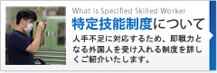 特定技能制度について