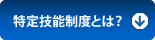 特定技能制度とは？