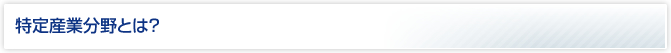 特定産業分野とは？