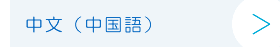 中文（中国語）