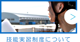 技能実習制度について