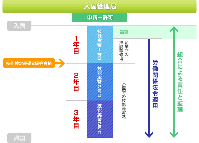 技能実習のスキーム図　技能実習