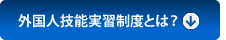 外国人技能実習制度とは？