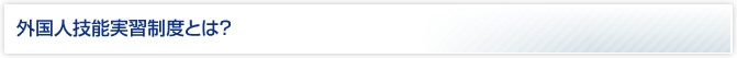 外国人技能実習制度とは？